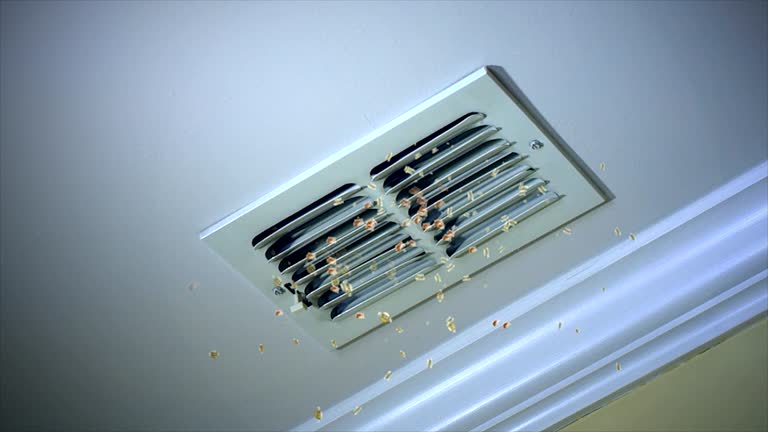 Best HVAC Air Duct Cleaning  in Mango, FL