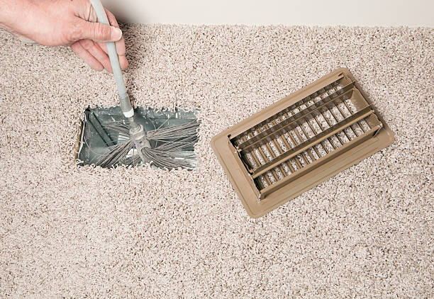 Best Ductwork Cleaning Services  in Mango, FL
