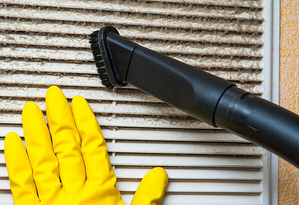 Best Affordable HVAC Duct Cleaning  in Mango, FL